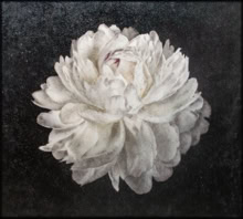 Minutes to Somewhere 