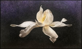 The Seven Directions 50x82 2023 photo-encaustic  painting with crushed glass, amethyst, quartz, and citrine  by Maggie Hasbrouck 